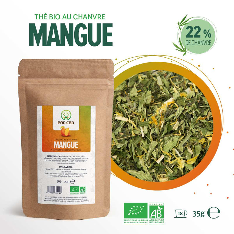 Thé CBD bio mangue Pop CBD – thé chanvre bio mangue tropical saveur douce | Euphoria Society