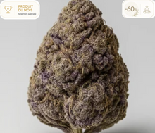Fleur de CBD Purple Cookie Greenhouse Premium
