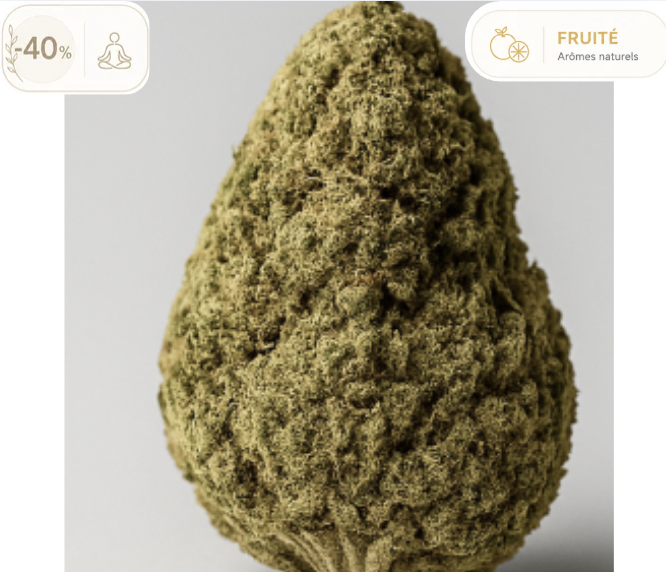 Fleur de CBD Amnesia 2.0 Greenhouse
