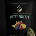 Tutti Frutti - Indoor