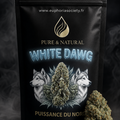 Fleur de CBD - WHITE DAWG