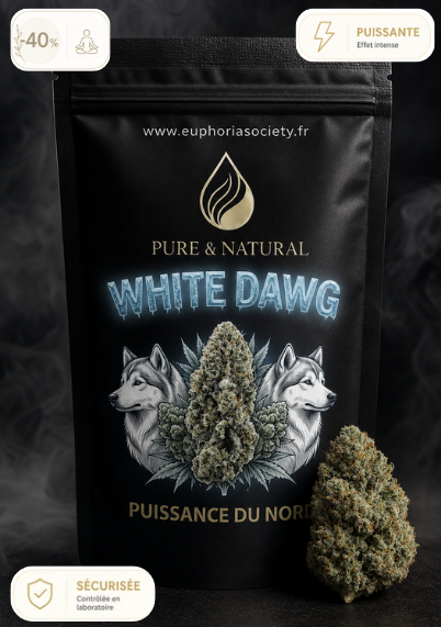Fleur de CBD - WHITE DAWG