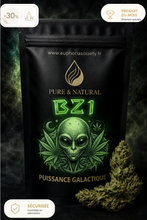 Fleur de CBD - BZ1