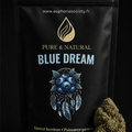 Fleur CBD Blue Dream Greenhouse