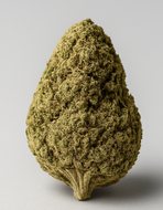 Fleur de CBD Amnesia 2.0 Greenhouse