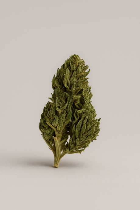 Fleur de CBD - EUPHORIA