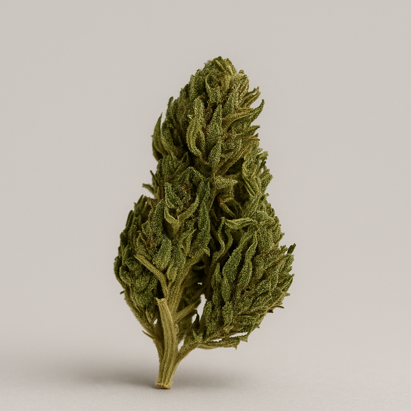 Fleur de CBD - EUPHORIA