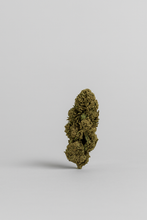 Fleur de CBD - WHITE DAWG