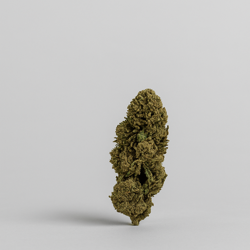 Fleur de CBD - WHITE DAWG