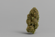 Fleur de CBD Purple Cookie Greenhouse Premium
