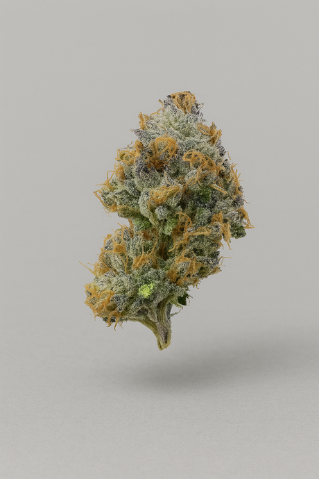 Critical - Indoor