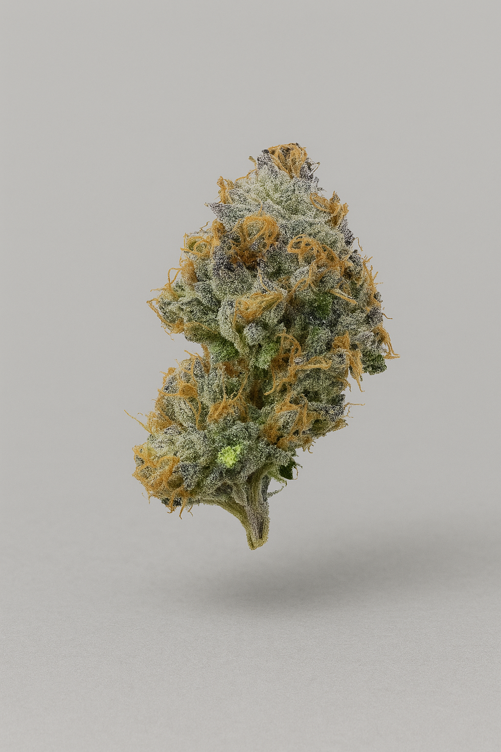 Critical - Indoor