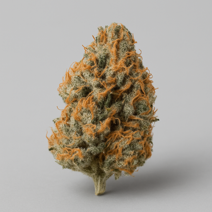 White widow - Indoor