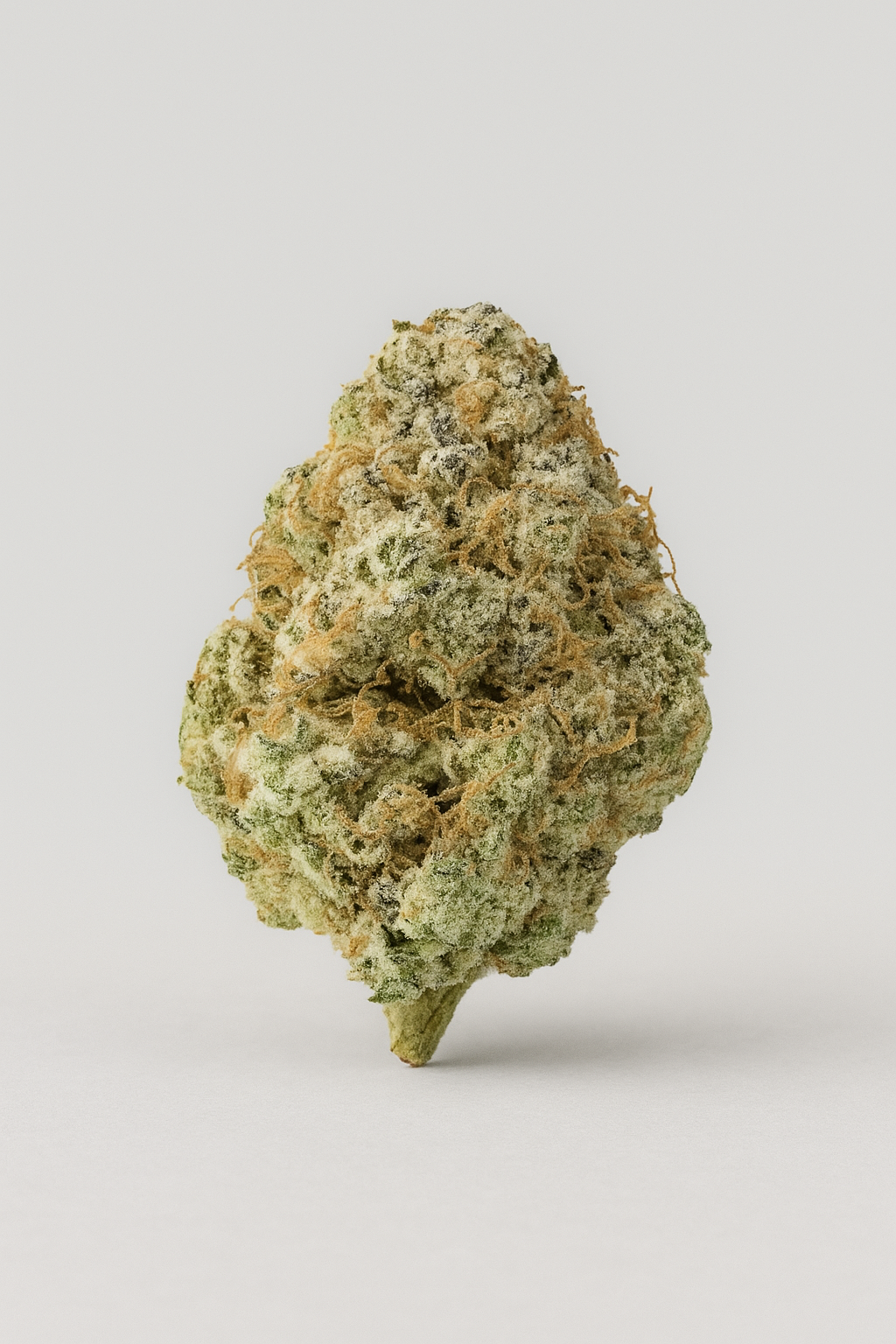 Girl Scoot Cookie GSC - Greenhouse