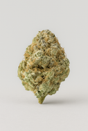 Girl Scoot Cookie GSC - Greenhouse