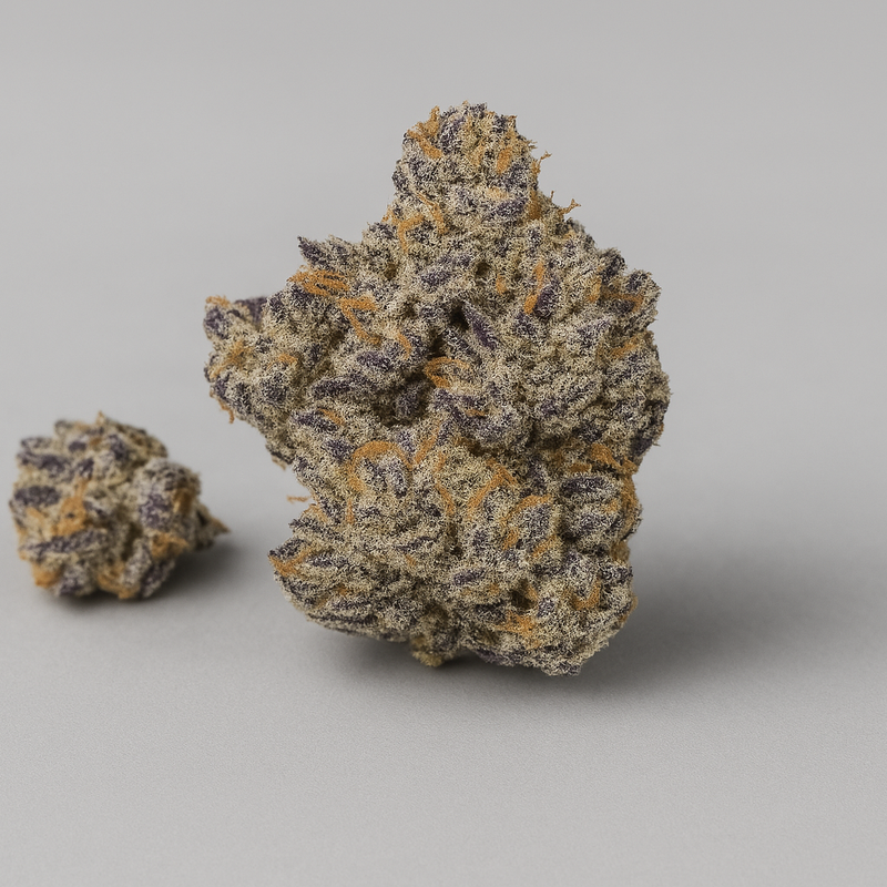 Orange bud - Greenhouse