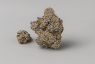 Orange bud - Greenhouse