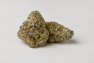Sour widow - Greenhouse