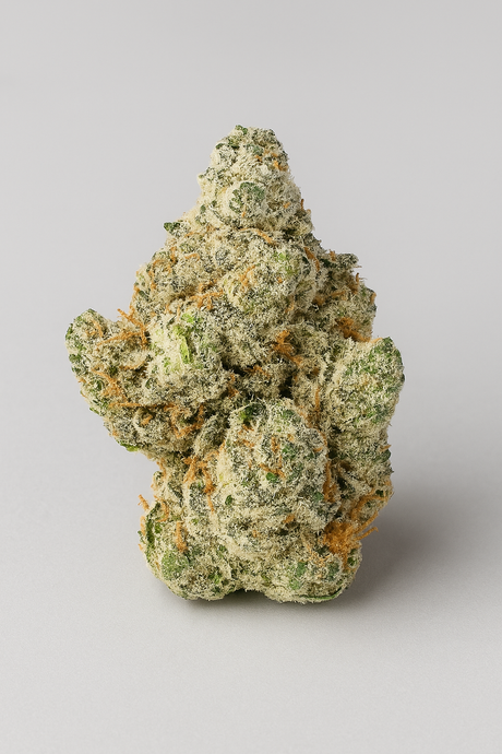 Purple Haze- Greenhouse