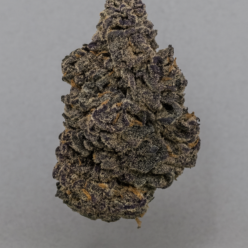 Strawberry - Indoor
