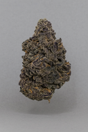 Strawberry - Indoor