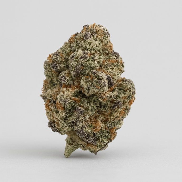 Tutti Frutti - Indoor