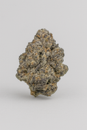Jack Herrer