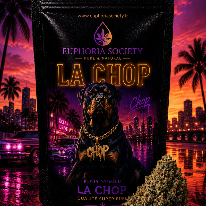 CHOP EDITION