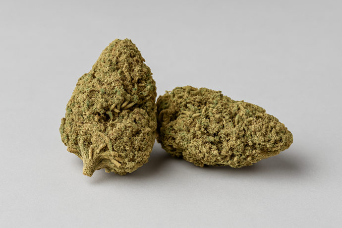 Fleur de CBD California Pink Haze NL-1 10%