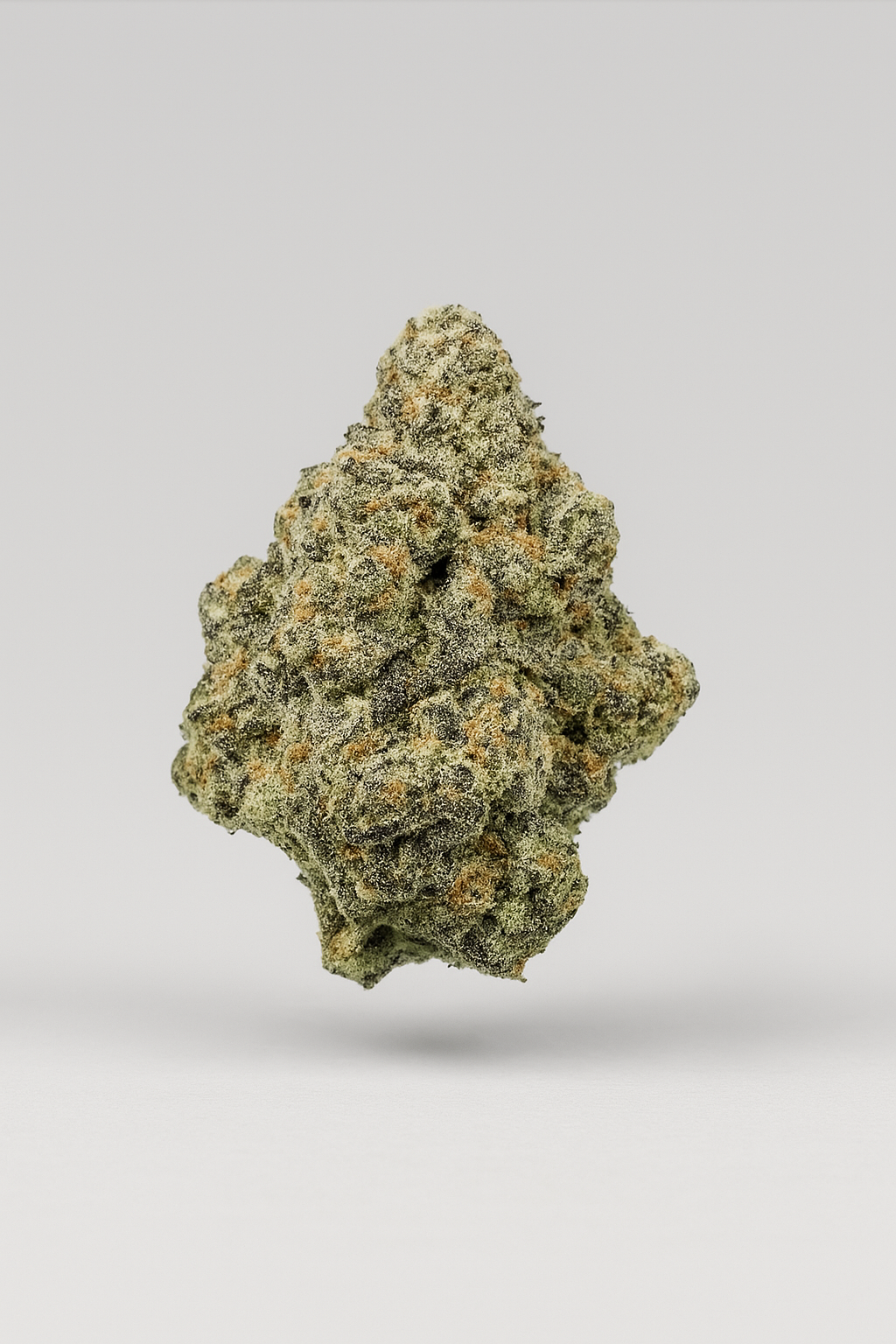 Gorilla Glue - Indoor