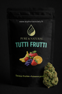 Tutti Frutti - Indoor