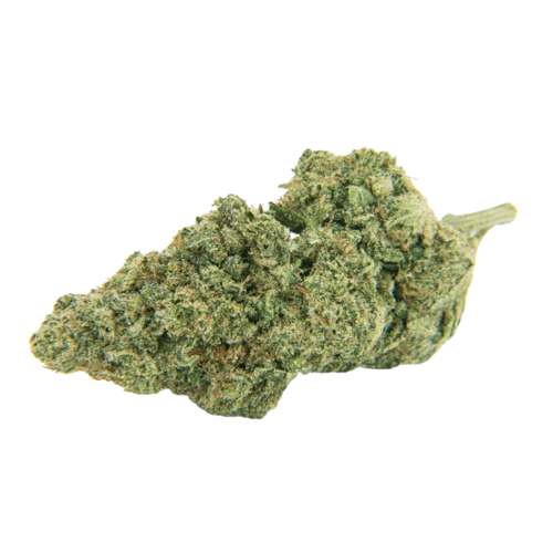 Fleur CBD Gelato indoor hydroponique France